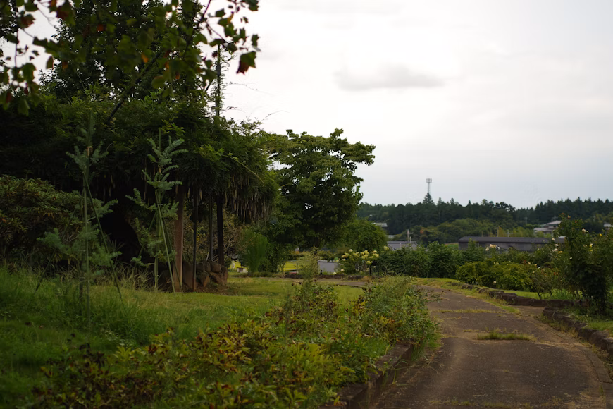 Top 5 Reasons to Invest in Enugu’s Real Estate Market