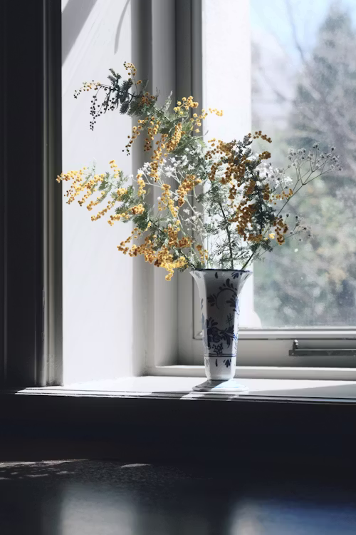 How Natural Light and Views Affect Home Value viva gold real estate