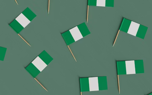 Why Nigerians Abroad Invest More in Land Back Home Than You Think viva gold real estate