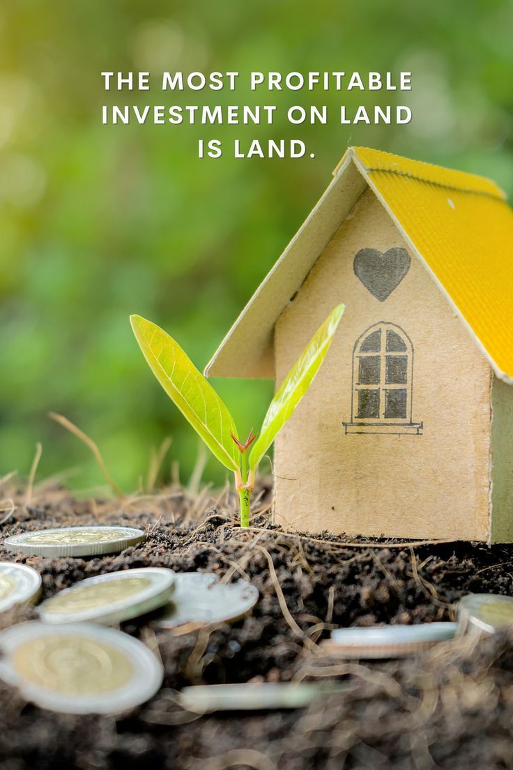 A First-Timer’s Diary: What the Process of Buying Land in Enugu Actually Looks Like