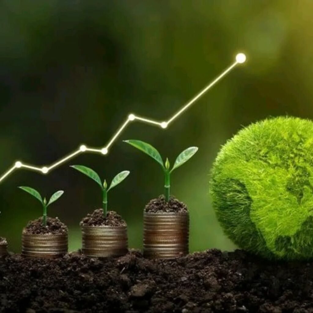 What Successful Nigerian Investors Do Differently and How You Can Apply It