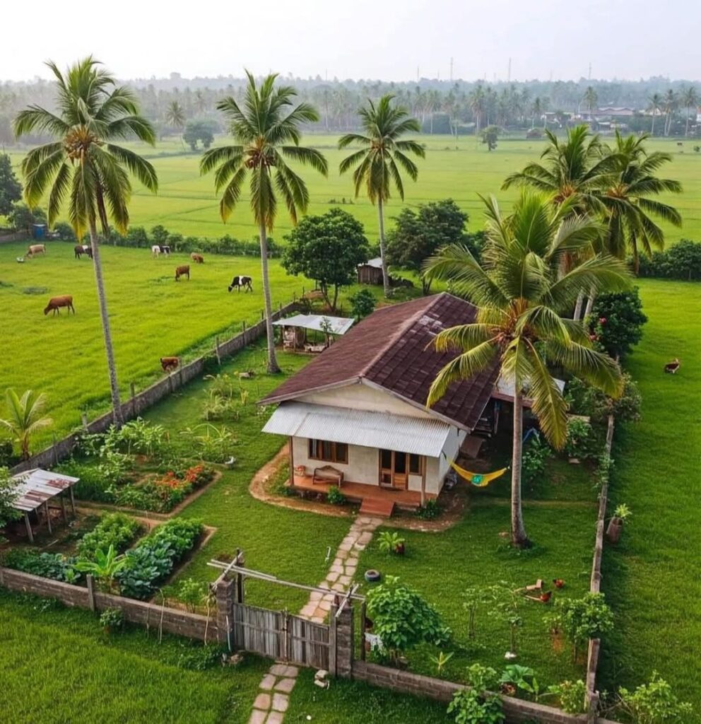 Can Two People Own One Plot in Nigeria? 