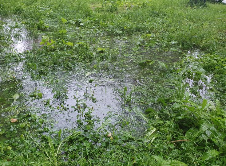 How to Spot Drainage Problems Before Buying Land in Nigeria