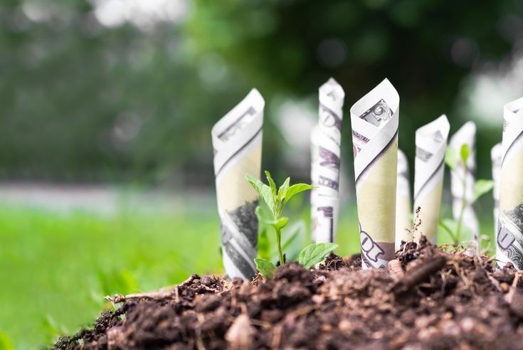 land and money
