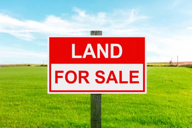 What Happens After You Buy Land?