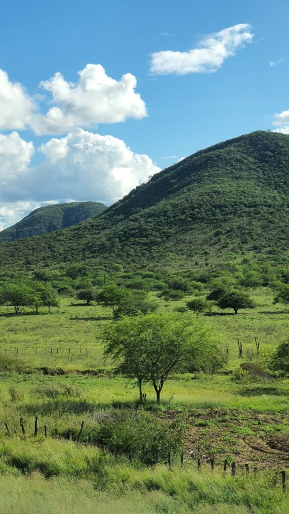 How Do People Lose Land They Legally Bought in Nigeria?
