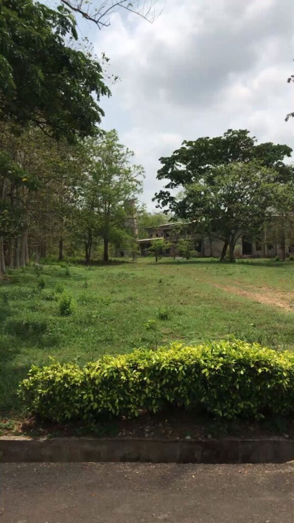 How Do People Lose Land They Legally Bought in Nigeria?