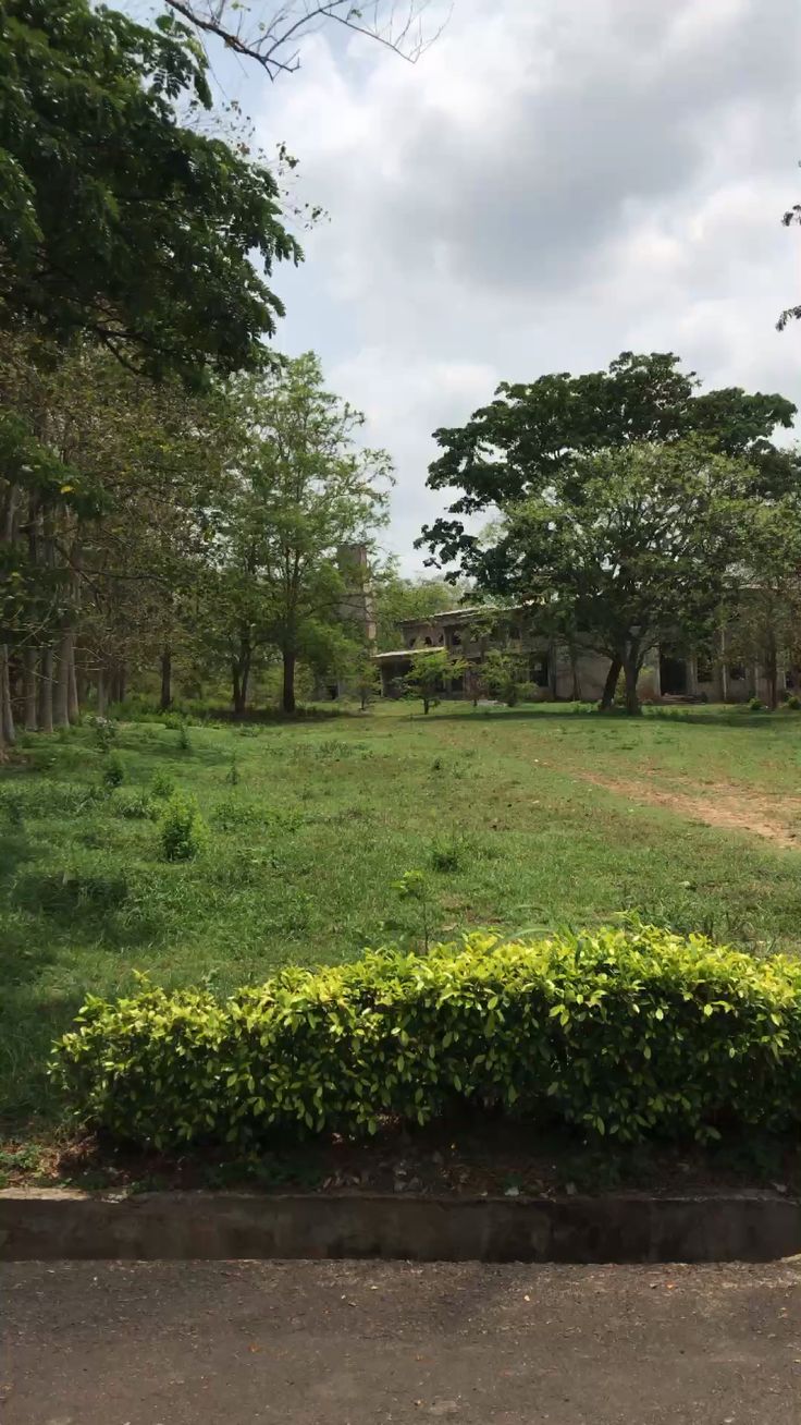 How Do People Lose Land They Legally Bought in Nigeria?