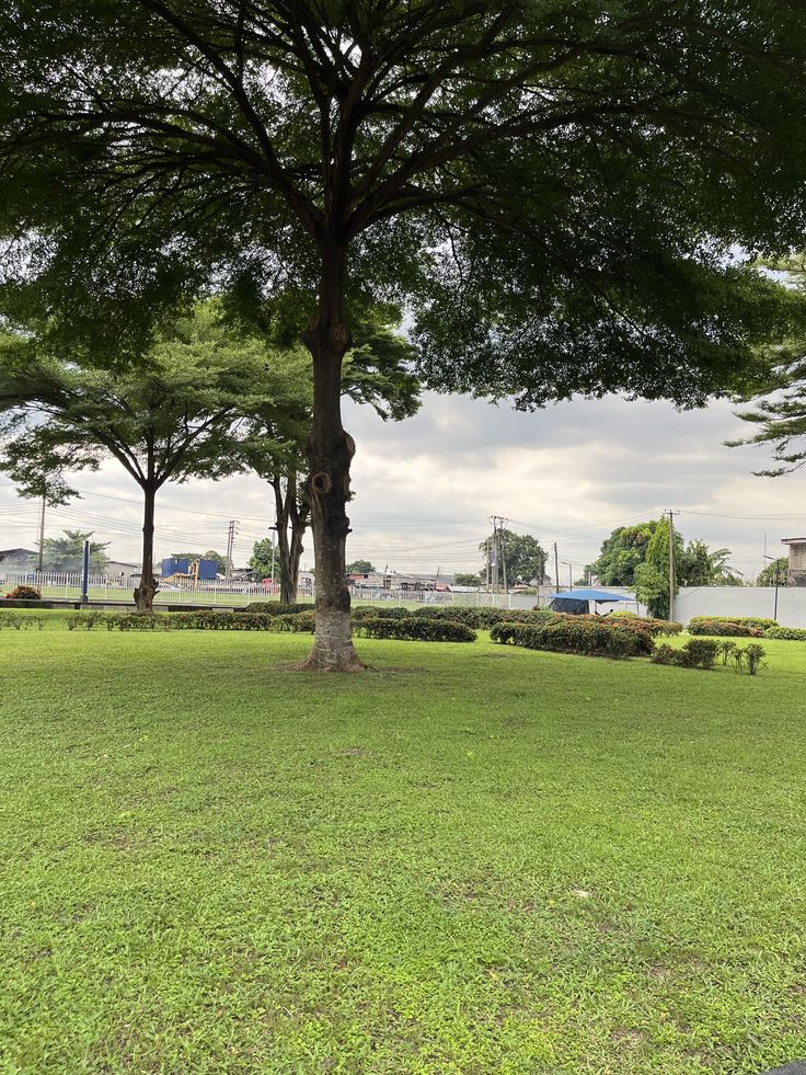 What Documents Do I Need to Buy Land in Nigeria?